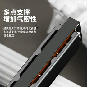 天鹅（SWAN）24孔复音口琴初学者入门学生专业演奏教学推荐口琴C调银色