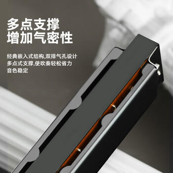 天鹅（SWAN）24孔复音口琴初学者入门学生专业演奏教学推荐口琴C调银色 商品图0