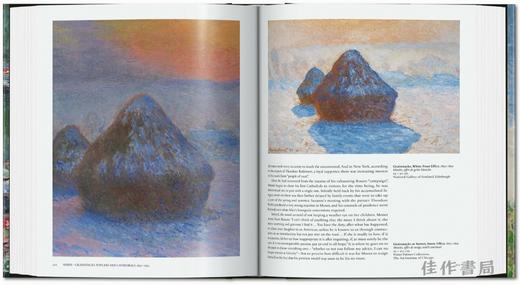Monet. The Triumph of Impressionism / 莫奈. 印象派的胜利 商品图3