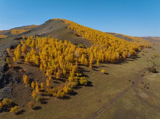 内蒙金秋 | 走进森林与草原深处的金色童话之旅 7天6晚 商品图13