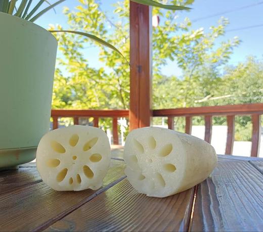 生态九孔白莲藕 商品图0