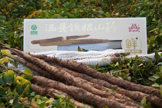 温县垆土铁棍山药 商品图5