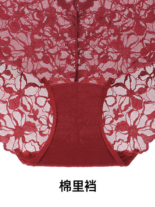 【The Rose】遐微绒雪尼尔全蕾丝内裤女秋冬纯棉裆无痕中腰平角裤 商品图4
