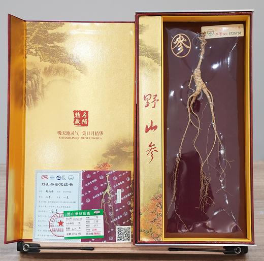 长白山野山参二等三级干参 冬季进补 给家里长辈选几支品级上乘的人参 商品图2