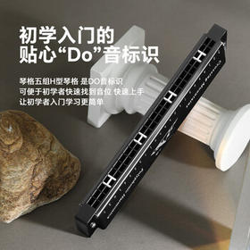 天鹅（SWAN）24孔复音口琴初学者入门学生专业演奏教学推荐口琴C调黑色