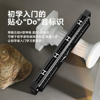 天鹅（SWAN）24孔复音口琴初学者入门学生专业演奏教学推荐口琴C调银色 商品图1