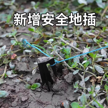 MAILE KID儿童抓鱼瓶神器捕鱼倒须瓶神器户外钓鱼竿工具夏季戏玩水装备玩具 商品图2