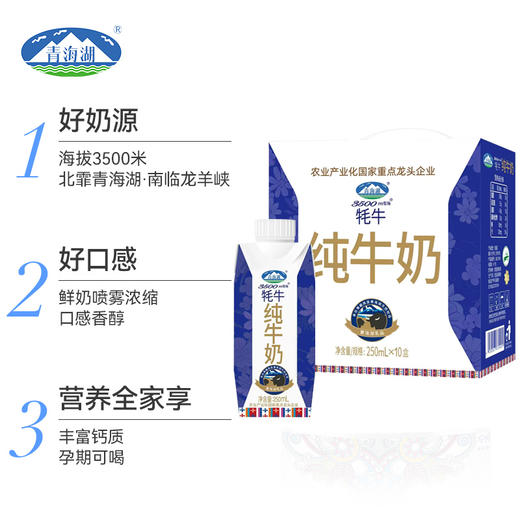 青海湖 高原纯牛奶 奶味清香甘甜 浓郁无腥 250ML*10/提 商品图3
