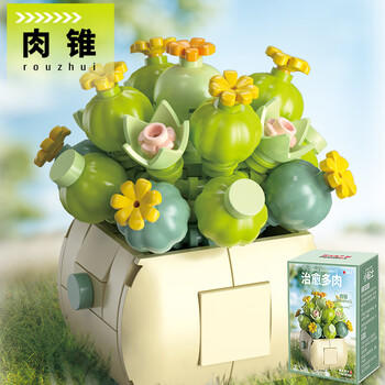 费米（Femibox）兼容乐高儿童拼装积木玩具花男女孩新年礼物生日多肉-肉锥S2281 商品图3