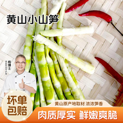 【杨博士 黄山野笋】  皖南土特产黄山野竹笋去壳笋尖火锅笋  鲜嫩   脆爽原汁  原味美味 商品图0
