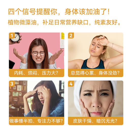 拟微球藻油+ALA+EPA 凝胶糖果 60粒/瓶 商品图1