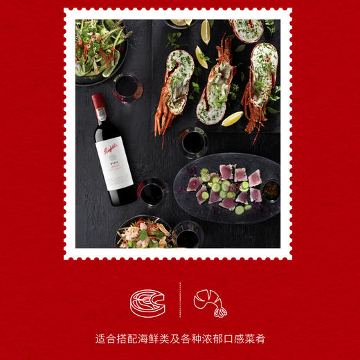 奔富BIN389麦克斯红酒澳洲原瓶进口节日送人礼物双支礼盒装 商品图3