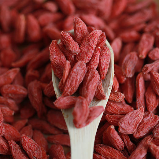 宁夏崛杞*红枸杞150g/瓶 商品图2