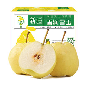 新疆香润雪玉天山雪梨 新疆天山的 “润喉果” 多规格可选 顺丰发货
