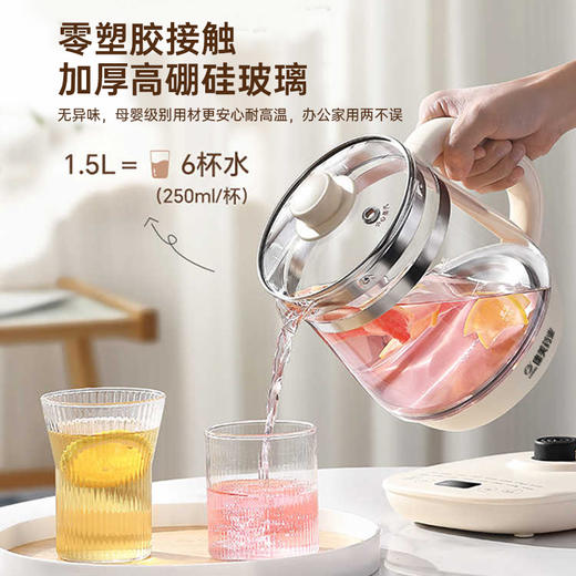 康美养生壶1.5L 高硼硅玻璃滋养药膳汤花茶饮办公室煮茶器 商品图3