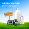 飞鹤牧场浓厚纯牛奶 200ml*10盒装 赠品勿拍 商品缩略图1
