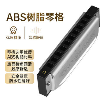 天鹅（SWAN） 10孔C调布鲁斯口琴初学者入门学生成人专业教学款口琴银色 商品图3