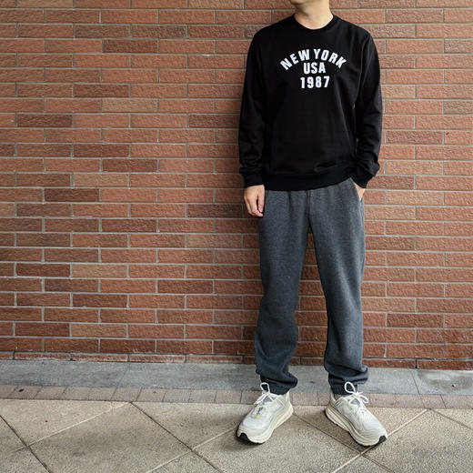 25秋冬-男士圆领毛圈单层卫衣【包邮+三天无理由退换】 商品图5