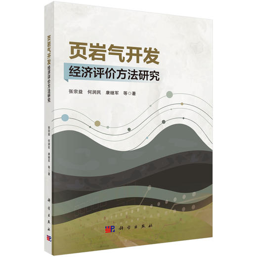 页岩气开发经济评价方法研究 商品图0