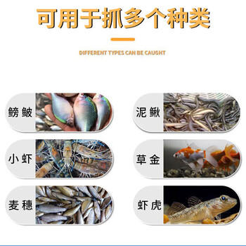 MAILE KID儿童抓鱼瓶神器捕鱼倒须瓶神器户外钓鱼竿工具夏季戏玩水装备玩具 商品图0