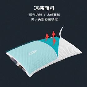 【春上新】10楼 宜庭 Talalay自由枕位零压深睡枕 吊牌价2980元  活动价1299元