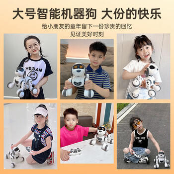 盈佳售20万智能ai机器狗rc遥控车早教机器人儿童玩具男女孩生日礼物 商品图2