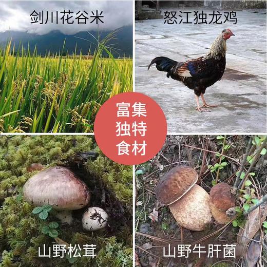 食味的初相云南松茸鸡汤米线 209g/盒 商品图7