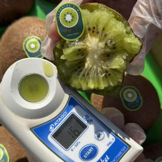 瑞玉阳光猕猴桃 商品图6