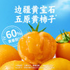 【鲜浓黄番茄】黄番茄火锅底料内蒙黄柿子四川成都酸汤金汤肥牛涮羊肉汤料 商品缩略图1