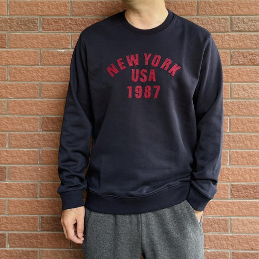 25秋冬-男士圆领毛圈单层卫衣【包邮+三天无理由退换】 商品图1