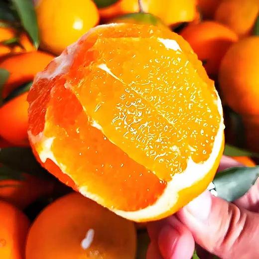 赣南脐橙清甜多汁 皮薄肉嫩 商品图4