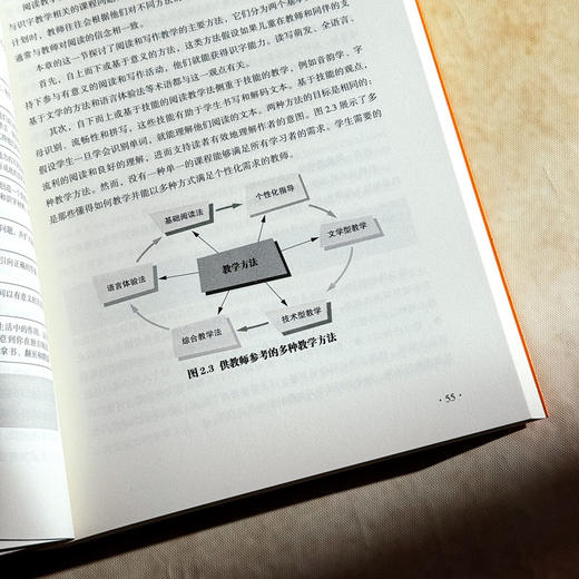 阅读的教与学 第10版 教育治理与领导力丛书 读写教学指南 商品图12