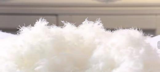 帕南笛高档鹅绒被 商品图1