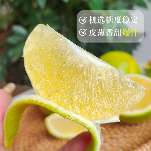 【云南哀牢山冰糖橙】新鲜冰糖橙 当季现摘青皮橙 酸甜爽口 清爽多汁 4种规格任选 商品图3