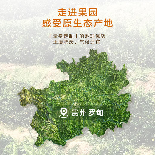 闲土蜂蜜橙橙子  生态种植不套袋现摘现发水果 商品图3