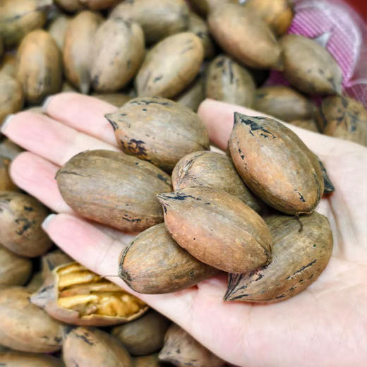 丹江口市蒿坪村原味鲜果新鲜碧根果 1斤/2斤 商品图3