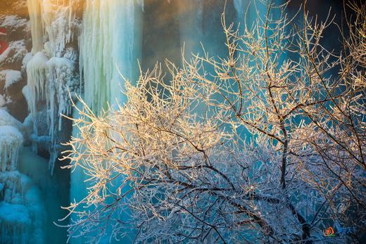 12月24日【东北】延吉、雾凇岛、雪地东北虎、雪乡、横道河子童话小镇7天摄影 商品图8