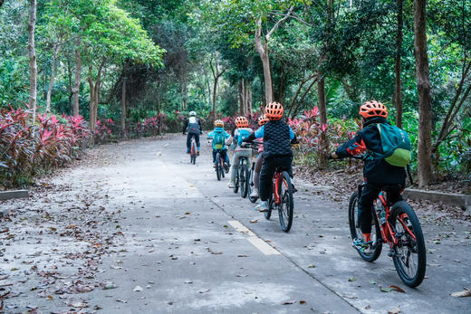 限时早鸟立减600！【海南岛骑士精神】东线+西线亲子骑行！6段不同骑行体验：海滩绿道、火山村落小道、白沙银滩和礁石海岸、火山岩海岸线及风车海岸线、花瓣形人工岛屿、热带雨林和热带花园… 商品图11