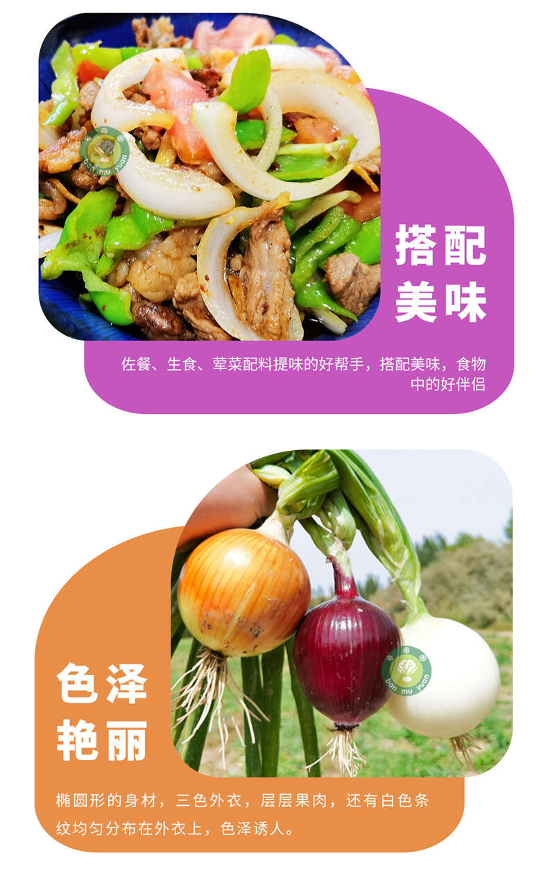 详情页_05.jpg 详情页_05.jpg