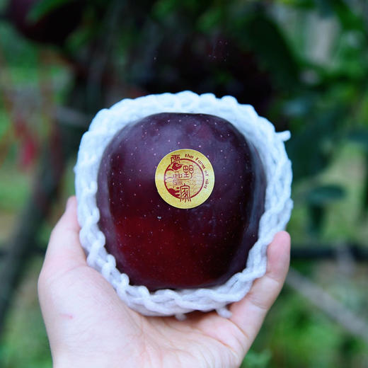 【黑卡苹果】高颜值黑紫贵族，苹果中最特别那一颗  花青素巨多 商品图3