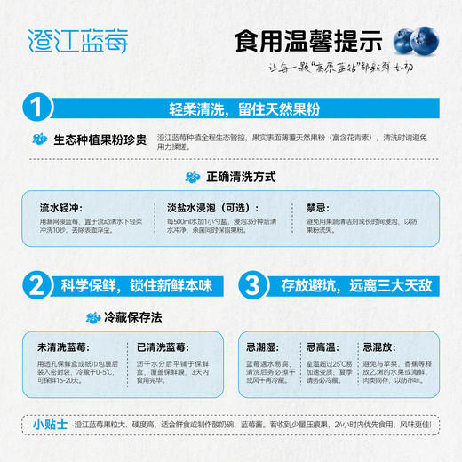 【花香蓝莓】 澄江蓝莓 高原珍宝  清甜爽脆 商品图2