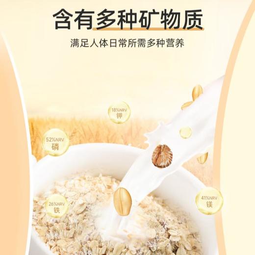 阴山优麦藜麦·小麦胚芽5谷燕麦片560g/袋 商品图3