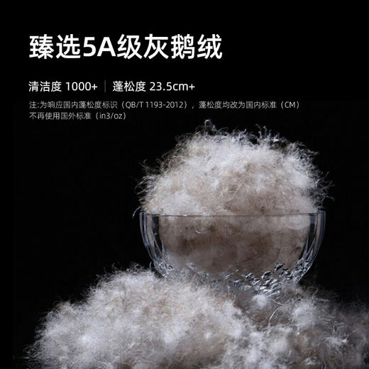 斯诺曼Snowman【品牌直发】 抑菌静音羽绒被芯95%鹅绒被保暖加厚冬被6201572 商品图2