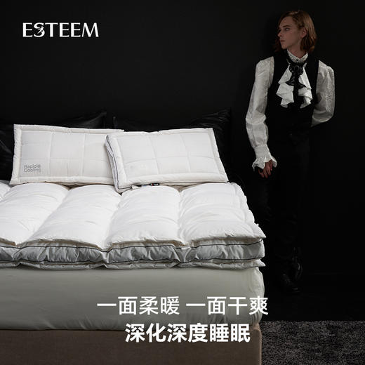 双温双感365D鹅绒功能床垫 商品图2