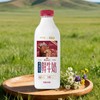 新希望森系牧场红牛4.0蛋白鲜牛奶 900ml/瓶 商品缩略图0