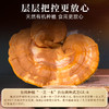 武夷山元生泰赤灵芝片30g/袋有机种植泡水煲汤泡酒料料营养滋补品味微苦 商品缩略图3