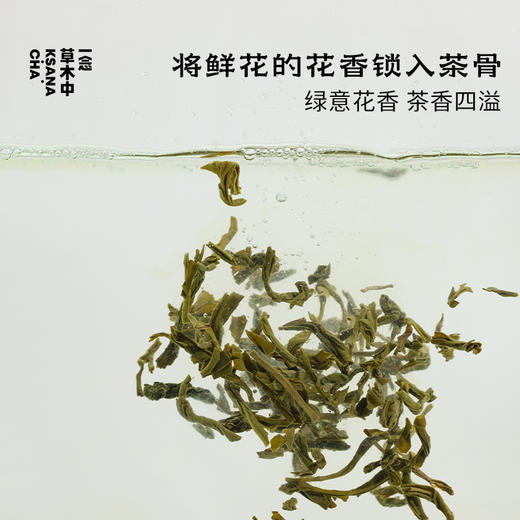 山岚·栀子绿茶 | 功夫口粮系列 | 100g原叶 | 绿茶类 商品图1