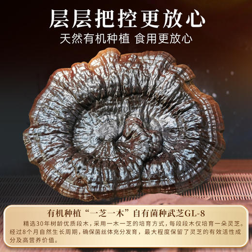 元生泰 紫灵芝茶 100g/袋 片整朵灵芝切片有机仿野生大段木种植煲汤灵芝茶 商品图3