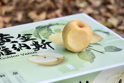黄金纳维斯苹果 商品图0