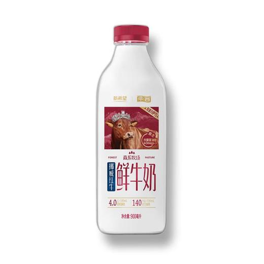 新希望森系牧场红牛4.0蛋白鲜牛奶 900ml/瓶 商品图2